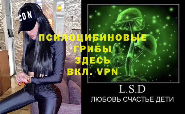 сатива Абдулино
