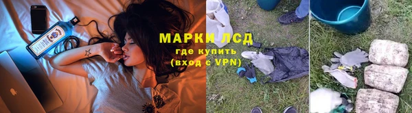 сатива Абдулино